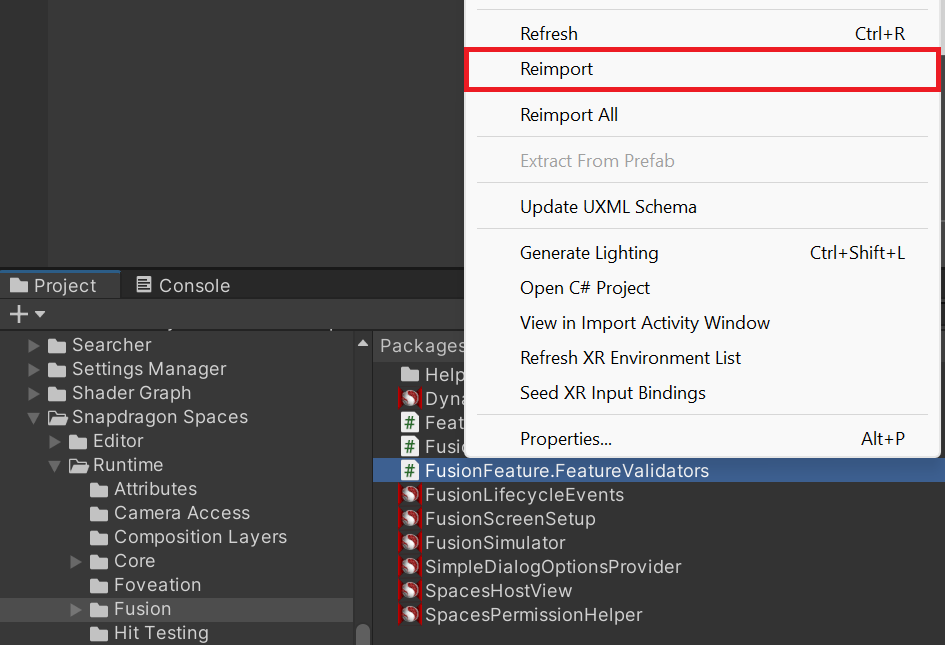 Fusion Feature Validator Reimport